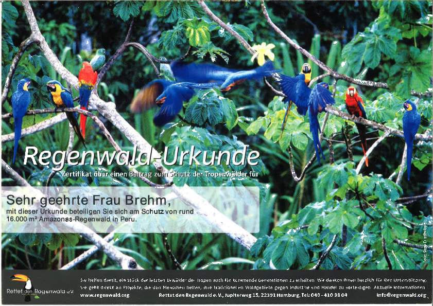 2624 001 compressed1 1 1